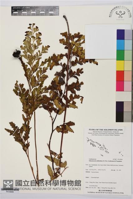 登錄號:P019906藏品圖，第1張