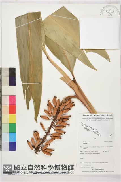 登錄號:S207816藏品圖，第1張