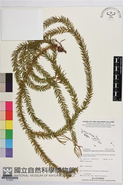 登錄號:P019902藏品圖，第1張