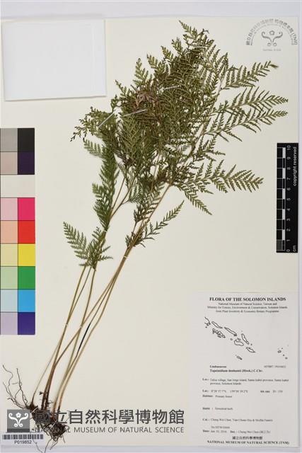 登錄號:P019852藏品圖，第1張