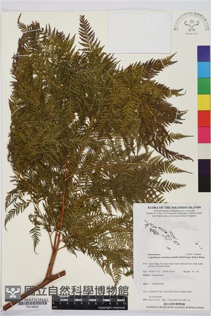 登錄號:P019892藏品圖，第1張