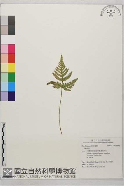 登錄號:P028992藏品圖，第1張