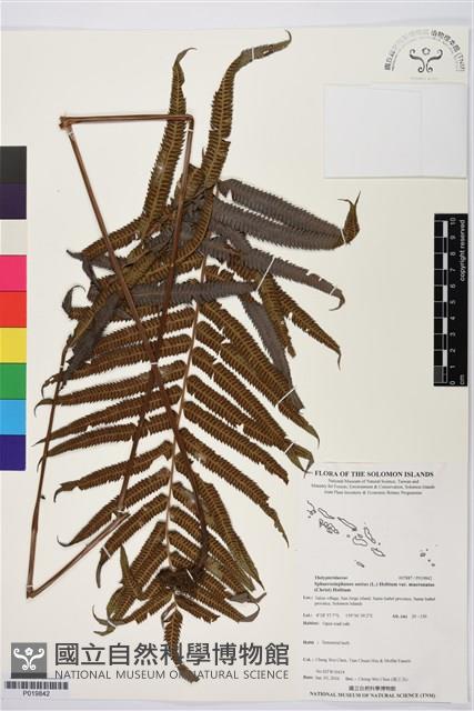 登錄號:P019842藏品圖，第1張