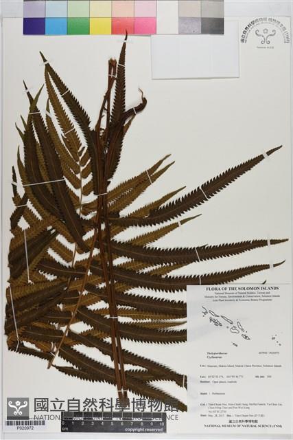 登錄號:P020972藏品圖，第1張