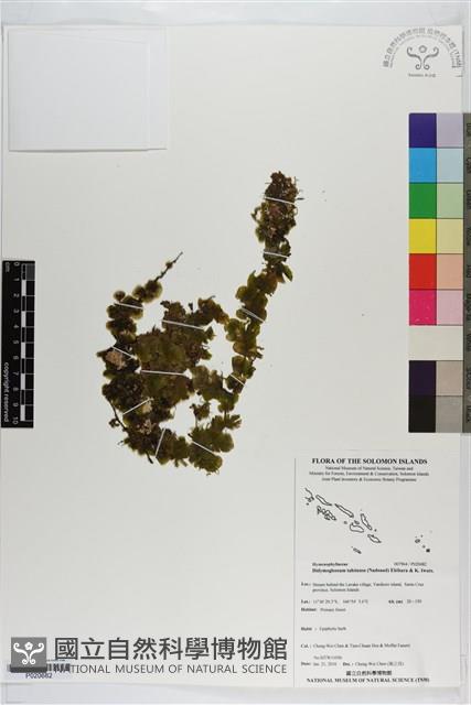 登錄號:P020682藏品圖，第1張