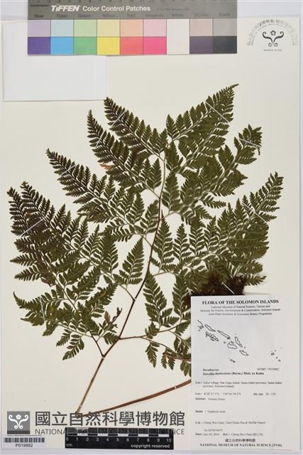 登錄號:P019882藏品圖，第1張