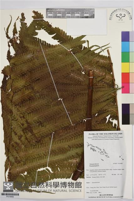 登錄號:P019982藏品圖，第1張