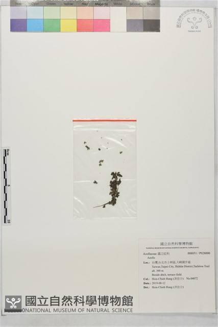 登錄號:P028000藏品圖，第1張