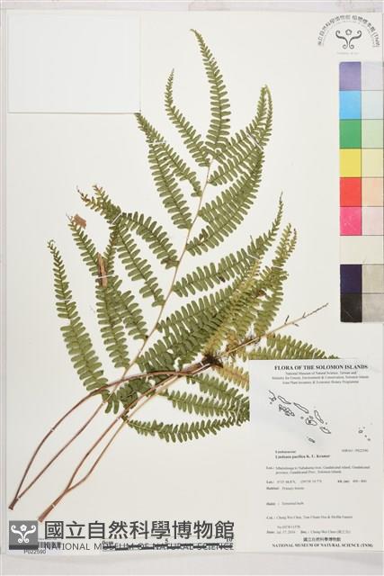 登錄號:P022590藏品圖，第1張