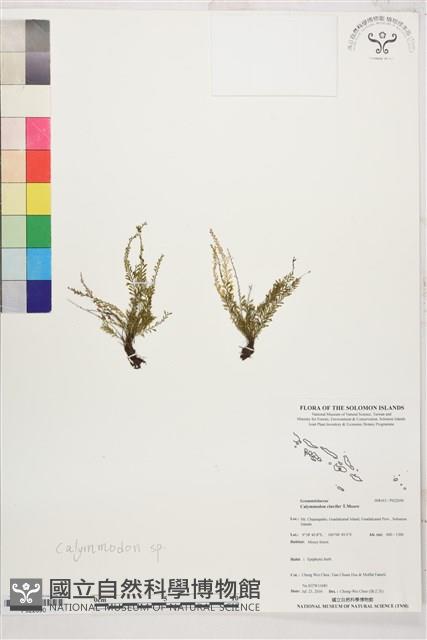 登錄號:P022690藏品圖，第1張