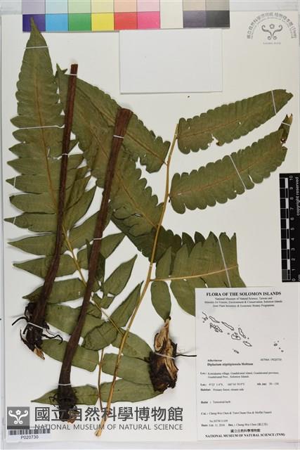 登錄號:P020730藏品圖，第1張