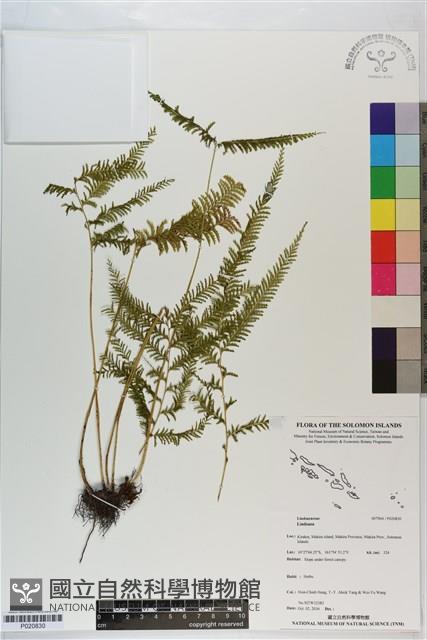 登錄號:P020830藏品圖，第1張