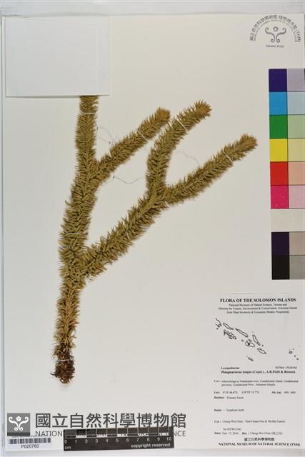 登錄號:P020760藏品圖，第1張