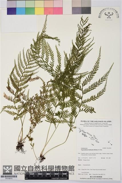 Accession Number:P019970 Collection Image