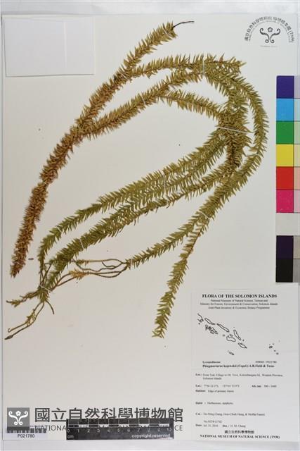 登錄號:P021780藏品圖，第1張