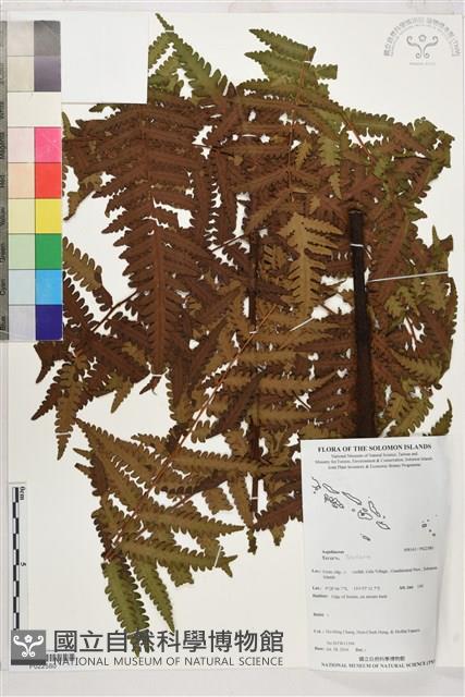 登錄號:P022580藏品圖，第1張