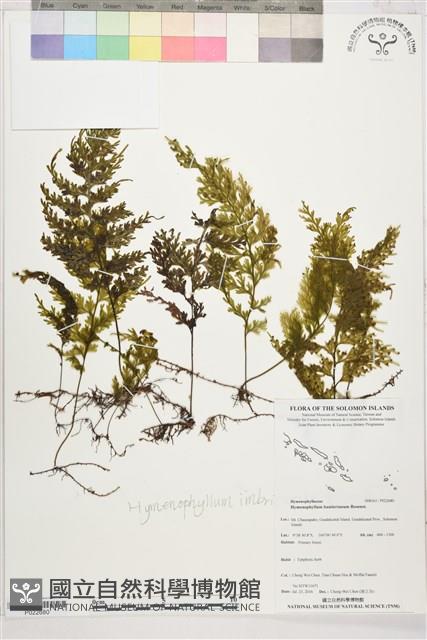 登錄號:P022680藏品圖，第1張