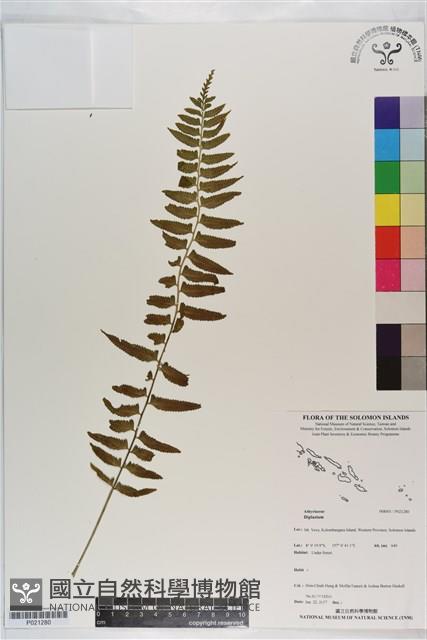 登錄號:P021280藏品圖，第1張