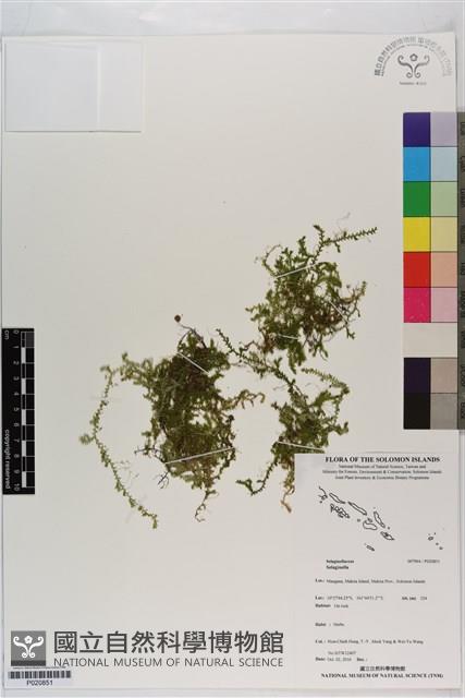 登錄號:P020851藏品圖，第1張