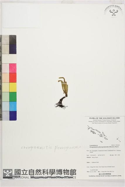 登錄號:P022691藏品圖，第1張