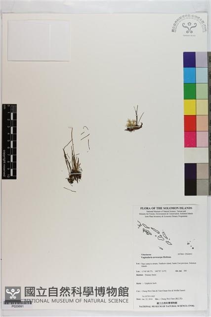 登錄號:P020691藏品圖，第1張
