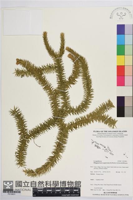 登錄號:P019831藏品圖，第1張