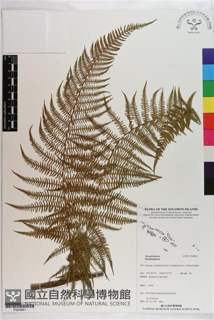 登錄號:P020961藏品圖，第1張