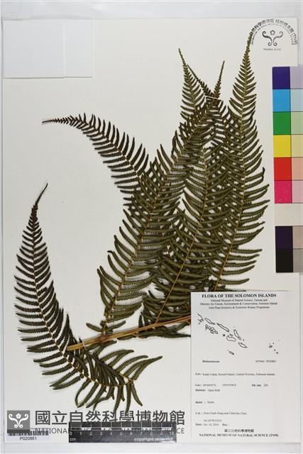 登錄號:P020861藏品圖，第1張