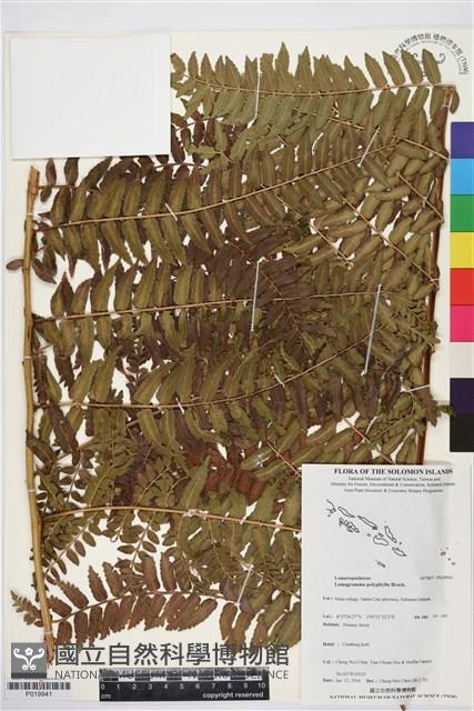 登錄號:P019941藏品圖，第1張