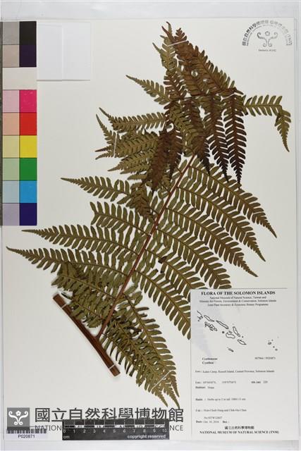 登錄號:P020871藏品圖，第1張