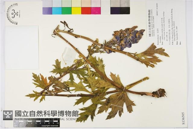 登錄號:S136505藏品圖，第1張