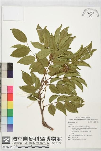 登錄號:S227415藏品圖，第1張