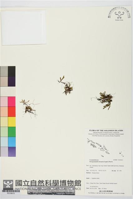 登錄號:P019915藏品圖，第1張