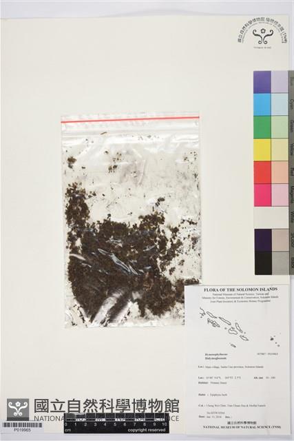 登錄號:P019965藏品圖，第1張