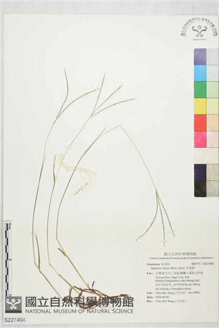 升馬唐藏品圖，第1張