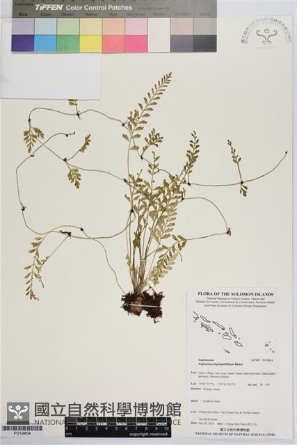 登錄號:P019854藏品圖，第1張