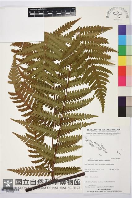 登錄號:P019954藏品圖，第1張