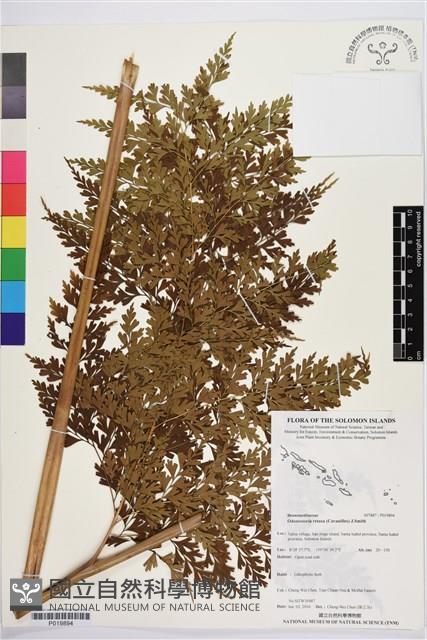 登錄號:P019894藏品圖，第1張