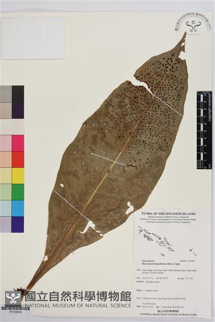 登錄號:P019834藏品圖，第1張