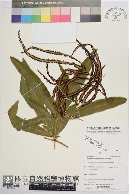 登錄號:P019934藏品圖，第1張