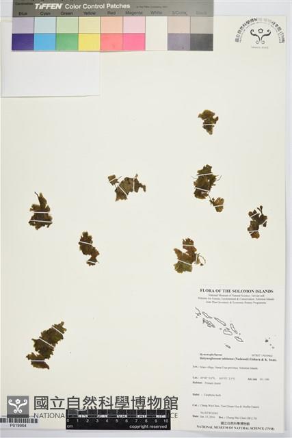 登錄號:P019964藏品圖，第1張