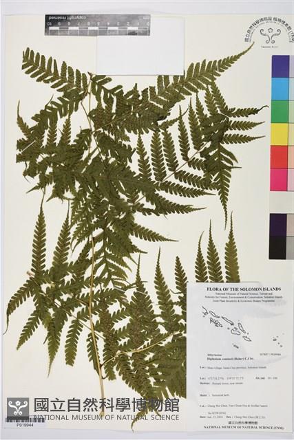 登錄號:P019944藏品圖，第1張