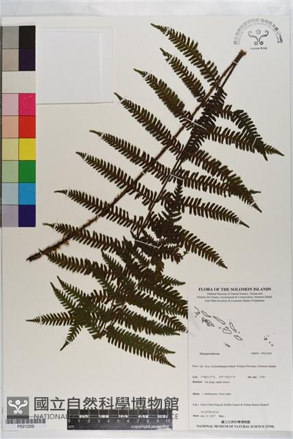 登錄號:P021209藏品圖，第1張