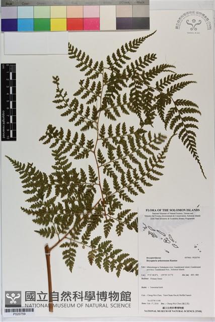 登錄號:P020759藏品圖，第1張