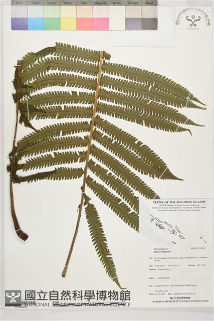 登錄號:P022659藏品圖，第1張