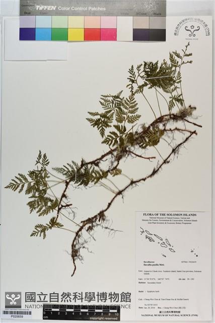 登錄號:P020659藏品圖，第1張