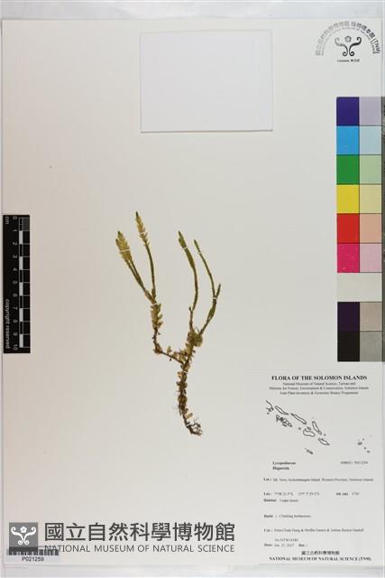 登錄號:P021259藏品圖，第1張