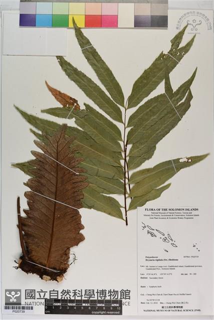 登錄號:P020739藏品圖，第1張