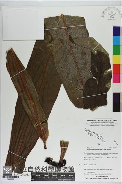 登錄號:P020769藏品圖，第1張