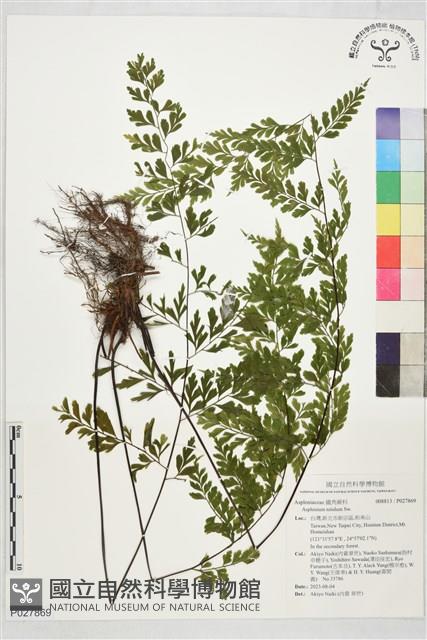 登錄號:P027869藏品圖，第1張